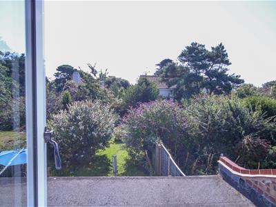 Picture 15